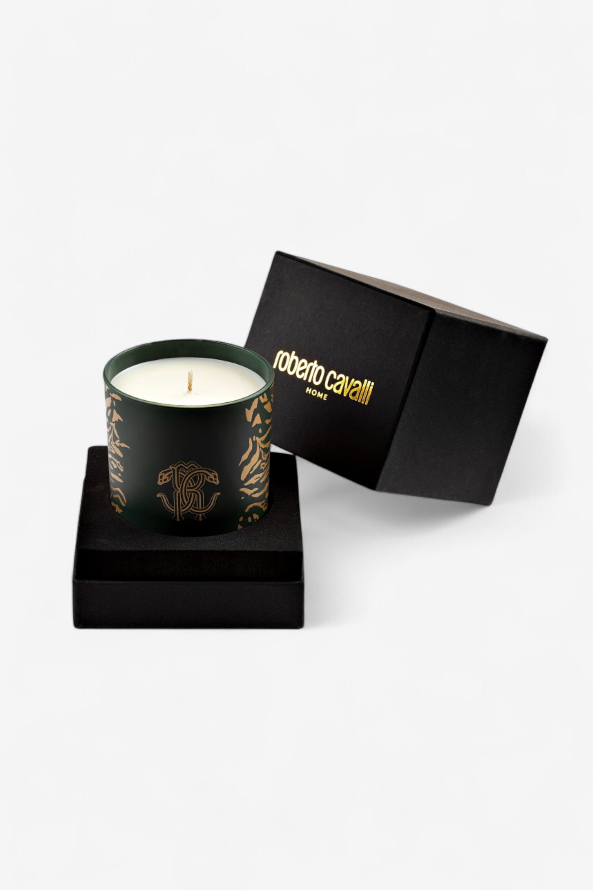 HO Wild Jungle Scented Candle 220 G Dark green TALA04-IA098