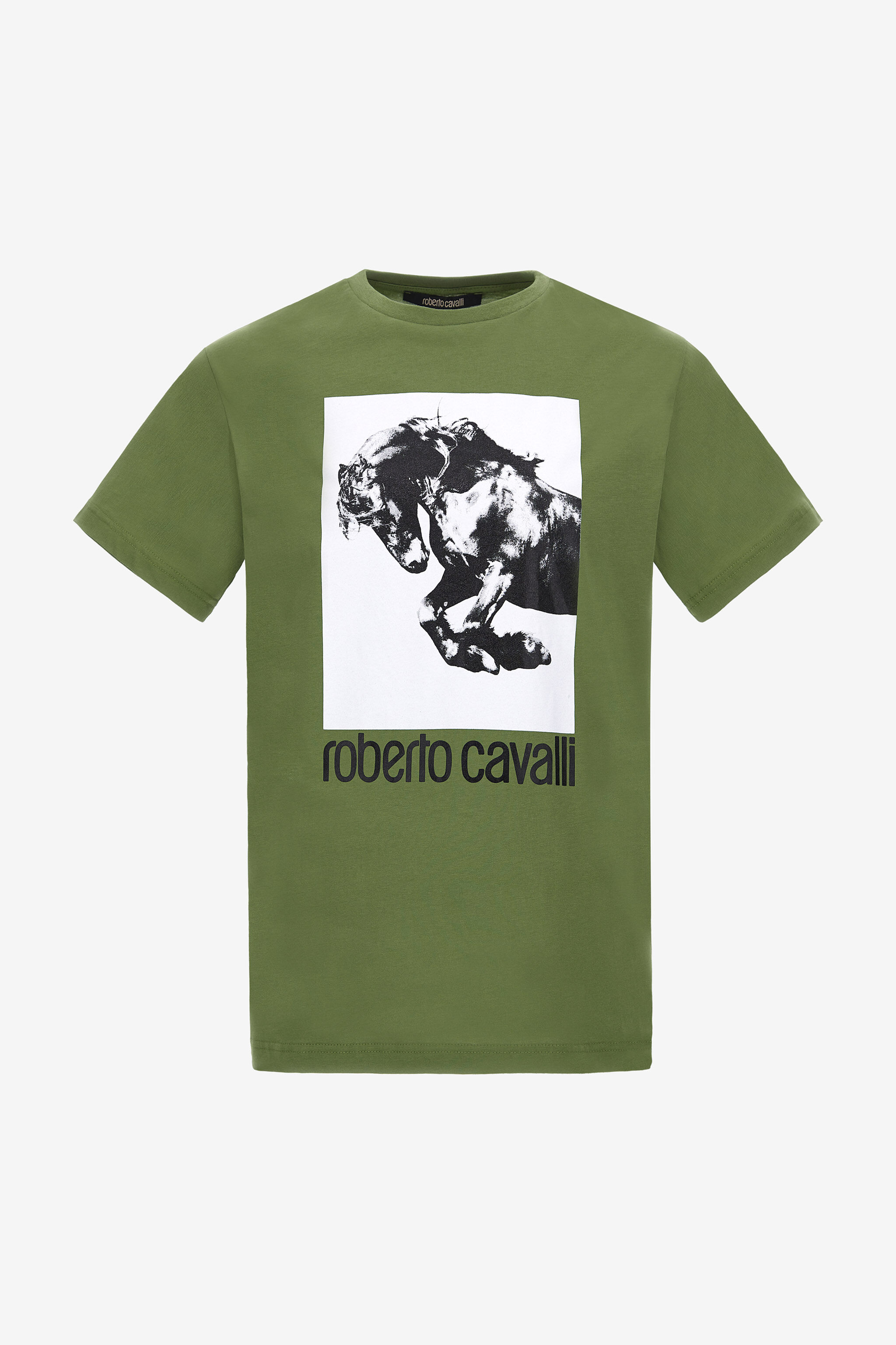 Roberto cavalli shirt new arrivals