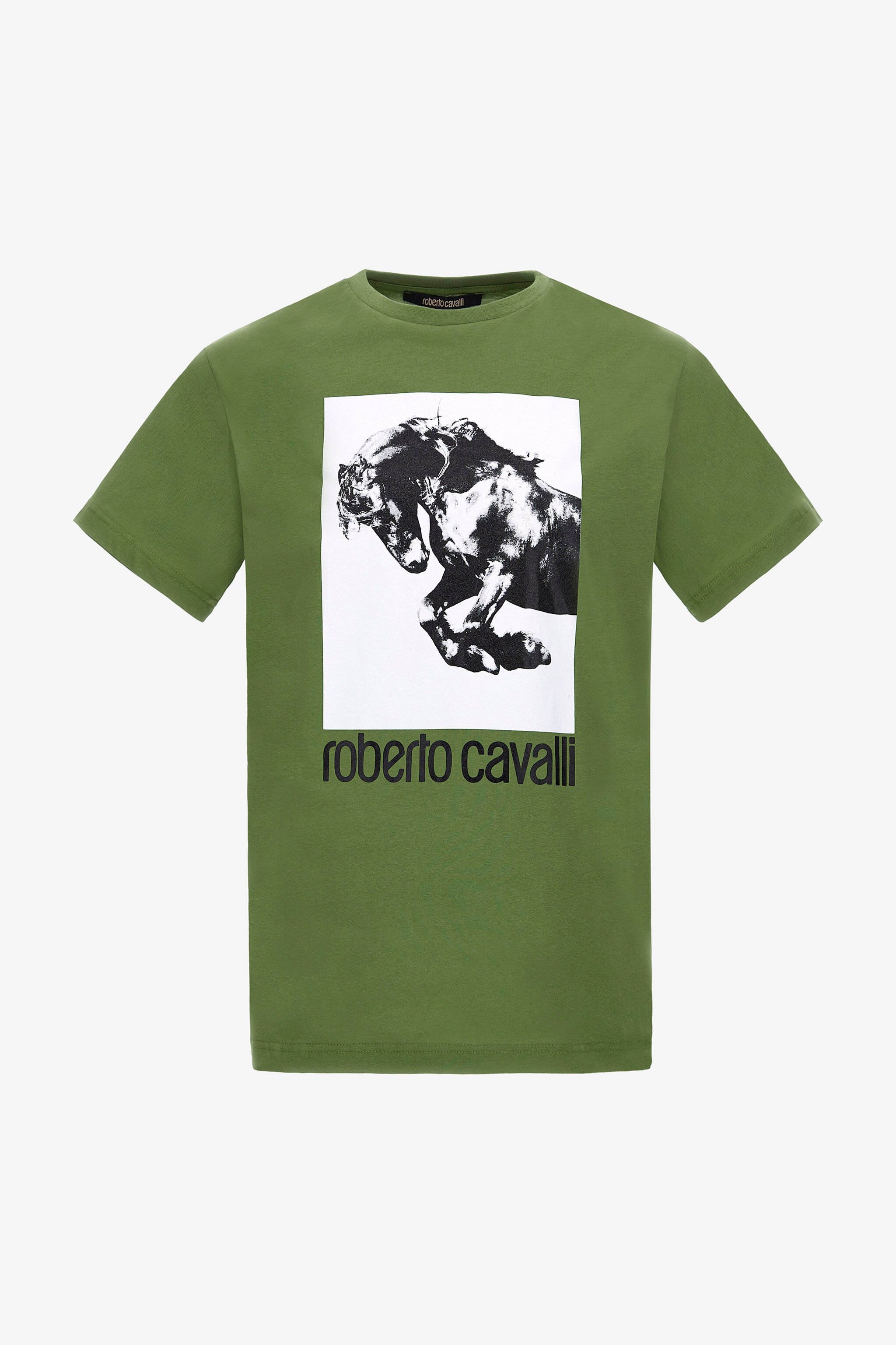 RC T-shirt with Horse logo and print Green NOT60D-JD060