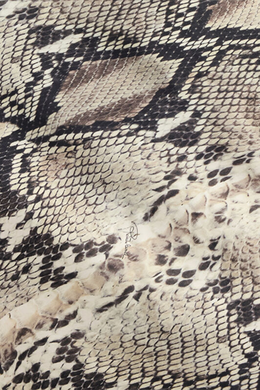 RC Long Silk Skirt with Python Print Light Brown VWT302-TYQ75