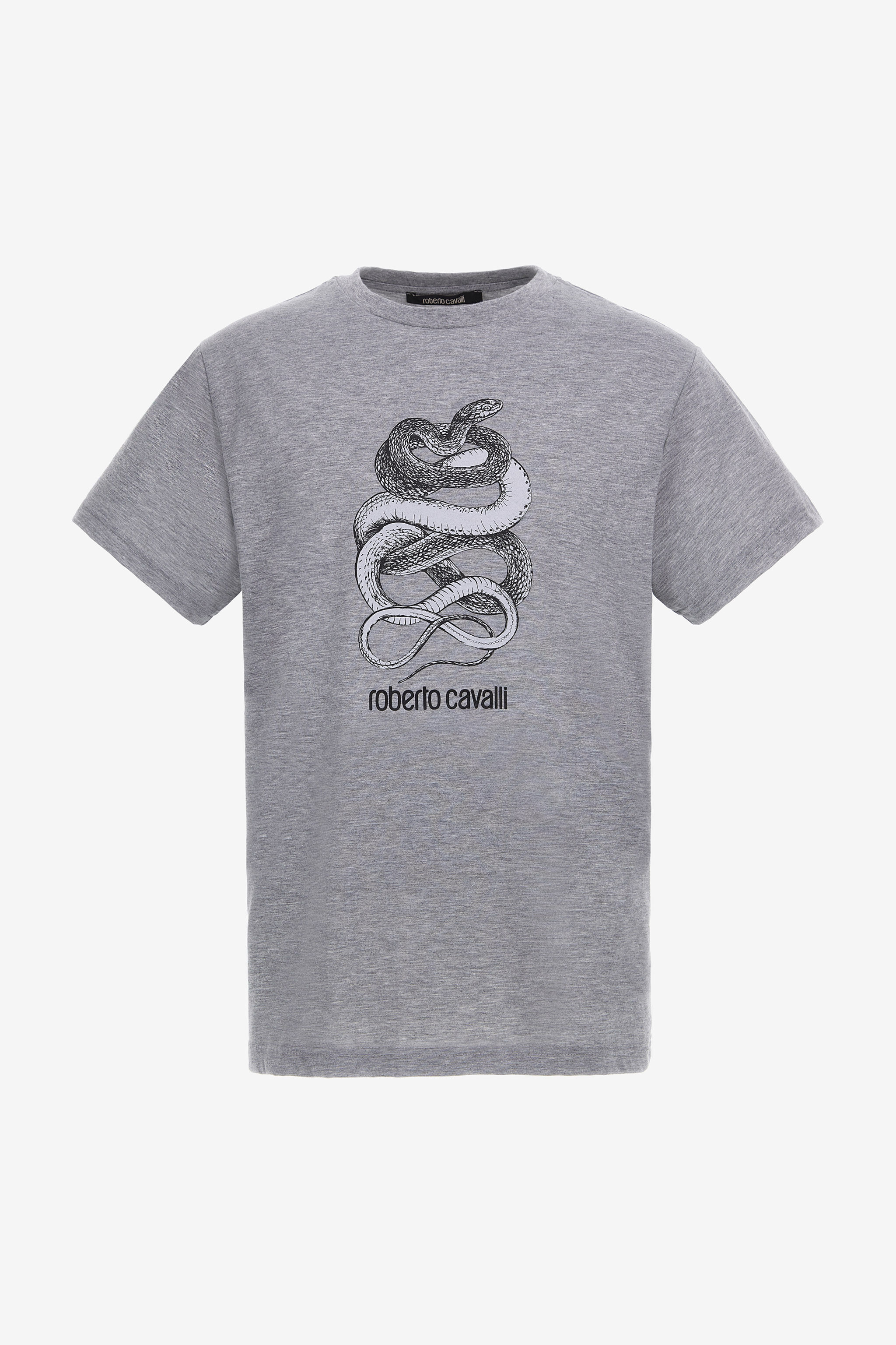 RC T-shirt with Snake print Gray NOT60S-JD016