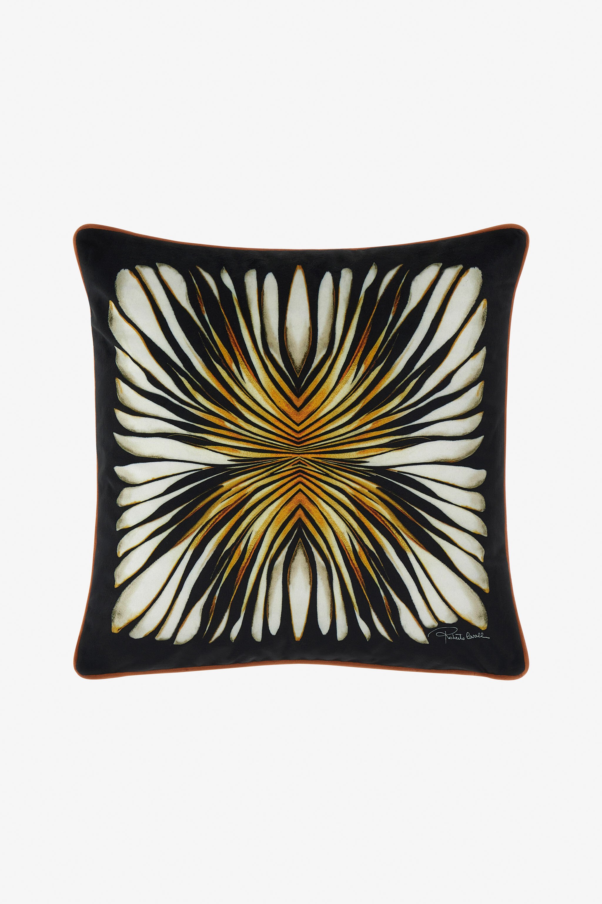 HO Cuscino Con Stampa Ray Of Gold Oro SALM43-IM083