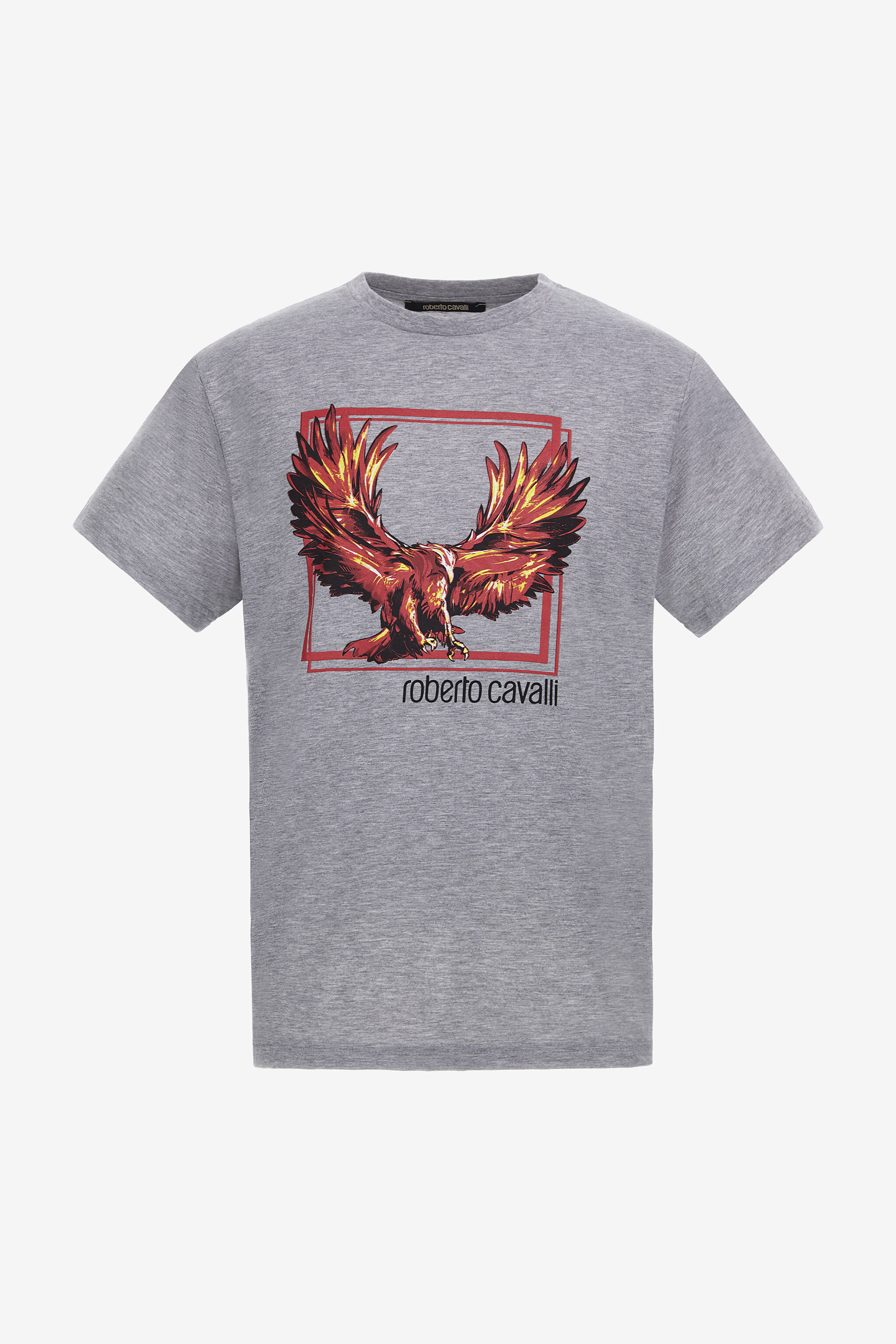 RC T-shirt with Eagle logo and print Gray NOT60E-JD016