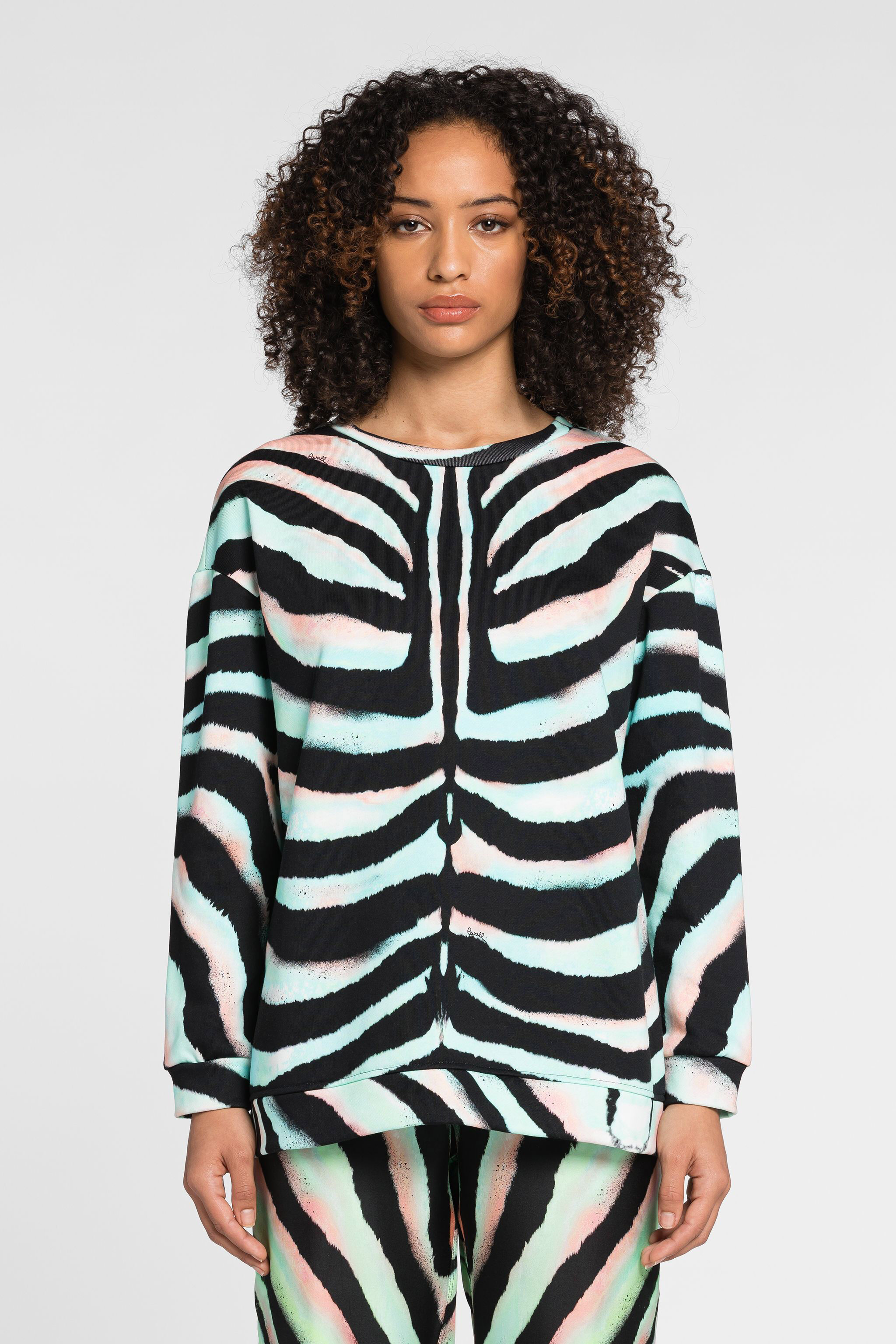 RC Zebra-Print Logo Cotton Sweatshirt Light green/Black OQT66I-5OD03