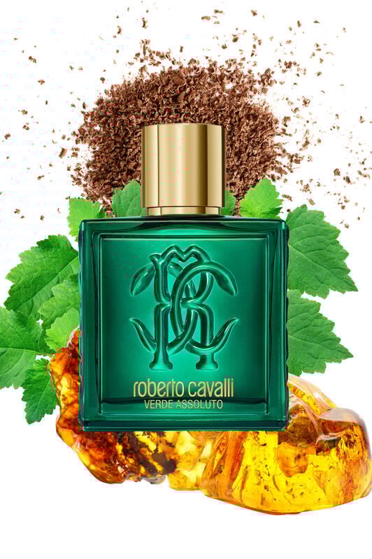 RC Verde Assoluto 100ML GENERIC WALI01-II042