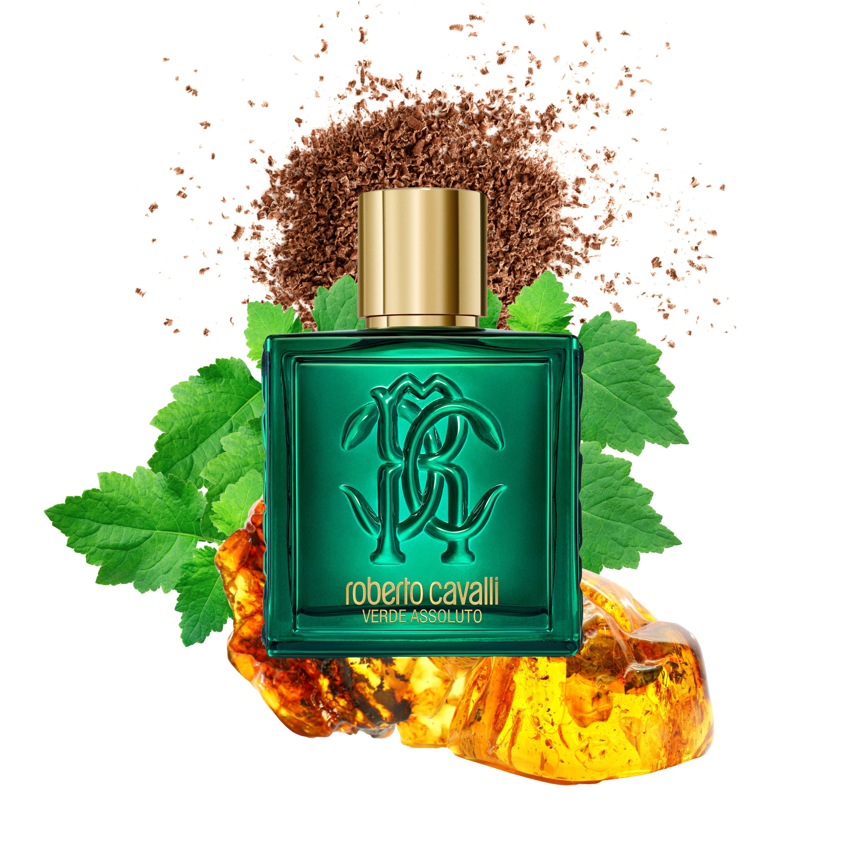 RC Verde Assoluto 100ML GENERIC WALI01-II042