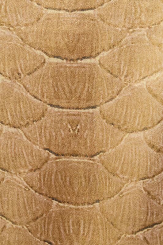 RC Golden Beige Silk Shirt with Scale Print BEIGE/GOLD WWT700-SZS31