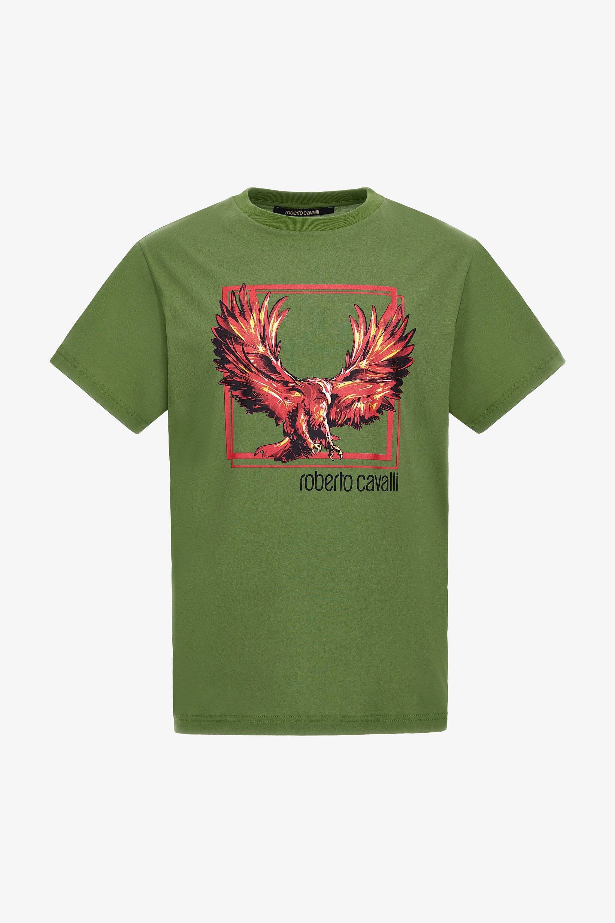 RC T-shirt with Eagle logo and print Grün NOT60E-JD060