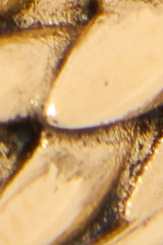 RC Orecchini A Cerchio Oro Anticato Con Squame OLD GOLD WWG017-AM001