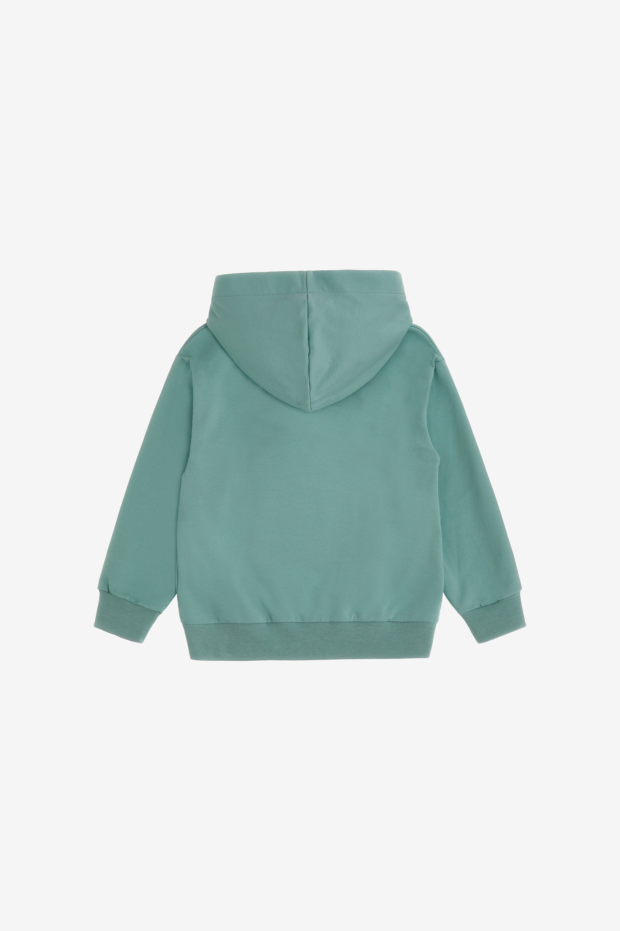 JU Sweatshirt Mit Mehrfarbigem Print Ozelot Green Mint SJT921-CF050