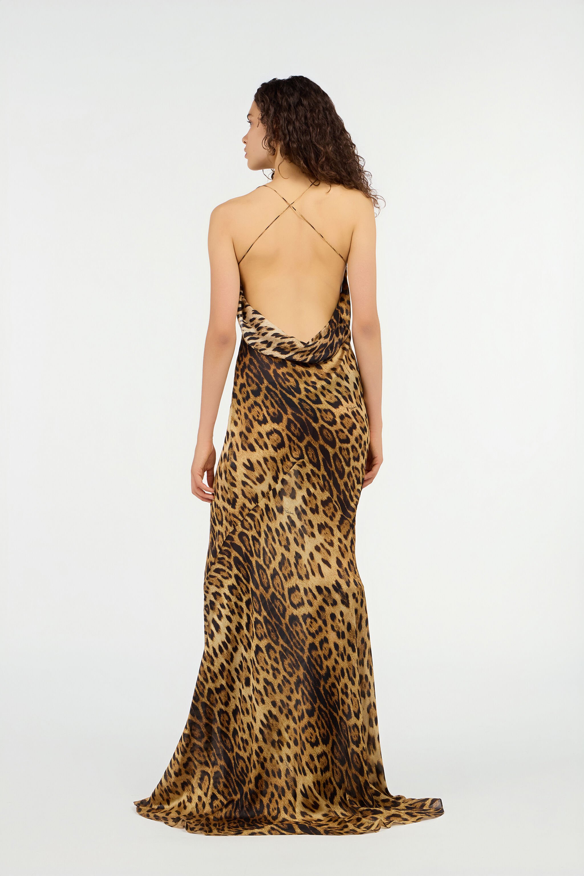 RC Long Silk Dress With Jaguar Skin Print Brown VWT103-HZQ71