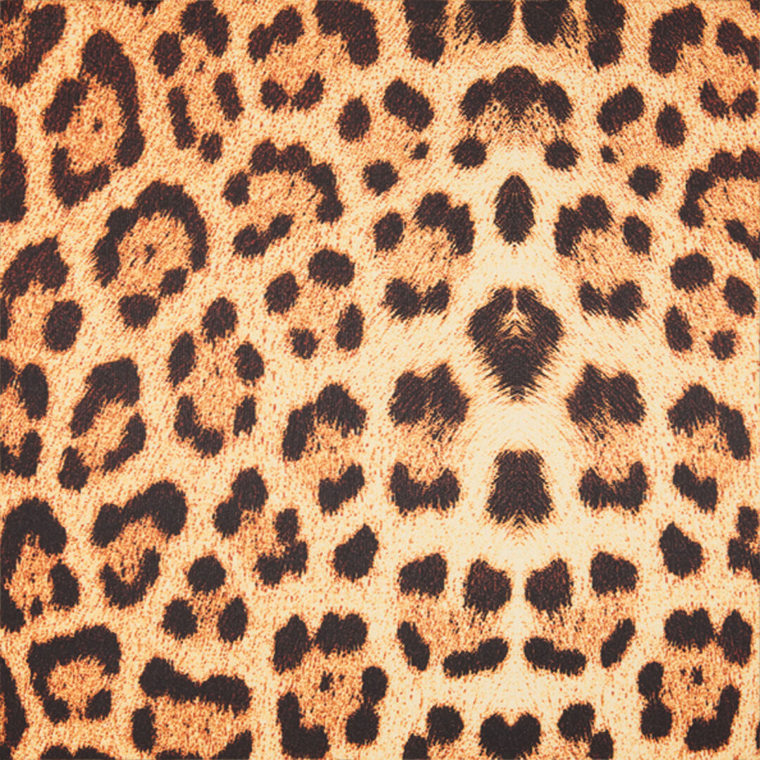 RC Midi Dress with Jaguar Skin Print Brown VKT112-JMP73