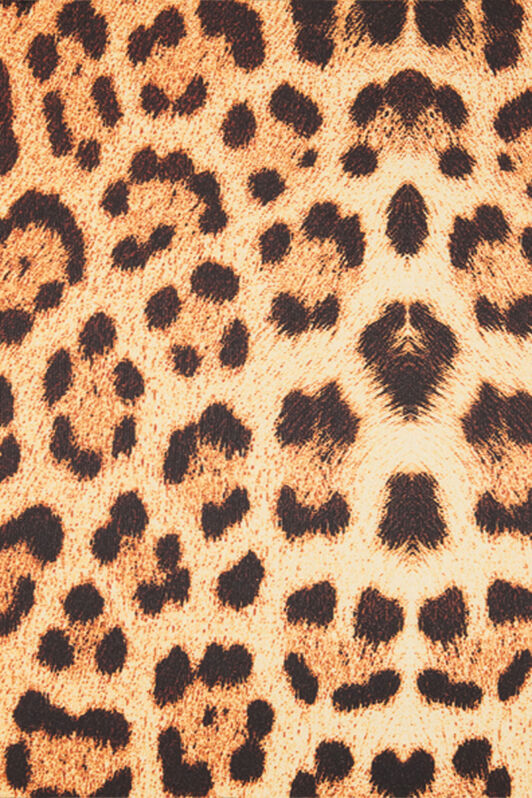 RC Midi Dress with Jaguar Skin Print RC Midi Dress with Jaguar Skin Print Brown VKT112-JMP73