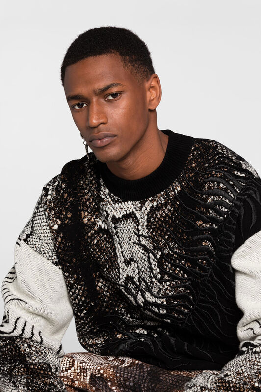 RC Embroidered Python-Jacquard Sweater RC Embroidered Python-Jacquard Sweater MULTICOLOR PNM610-MR001