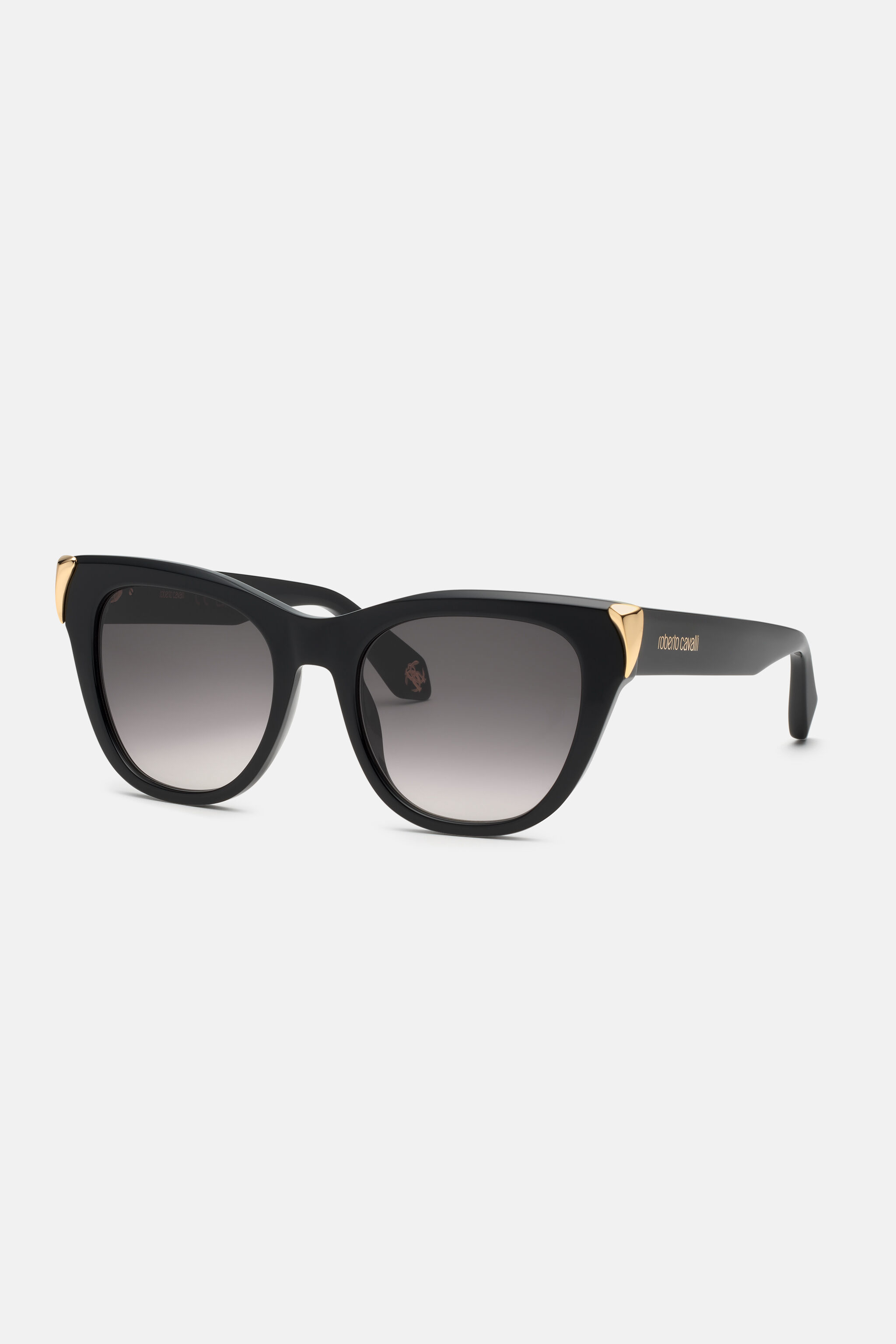 RC Sunglasses with feminine cat-eye and feng on sides Schwarz ALD029-ID189