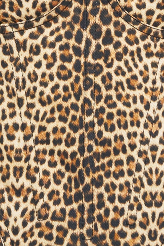 RC Flared Dress with Bbay Jaguar Print and Frayed Edges RC Flared Dress with Bbay Jaguar Print and Frayed Edges BROWN WQJ106-DAR31