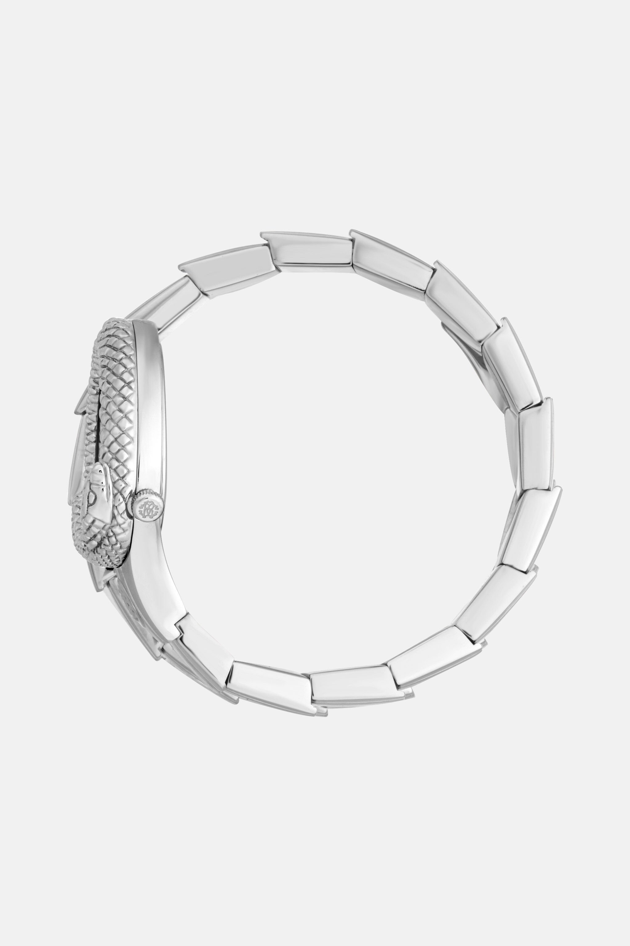 RC Roberto Cavalli by Franck Muller Signature Snake watch Silver RALG54-IG348