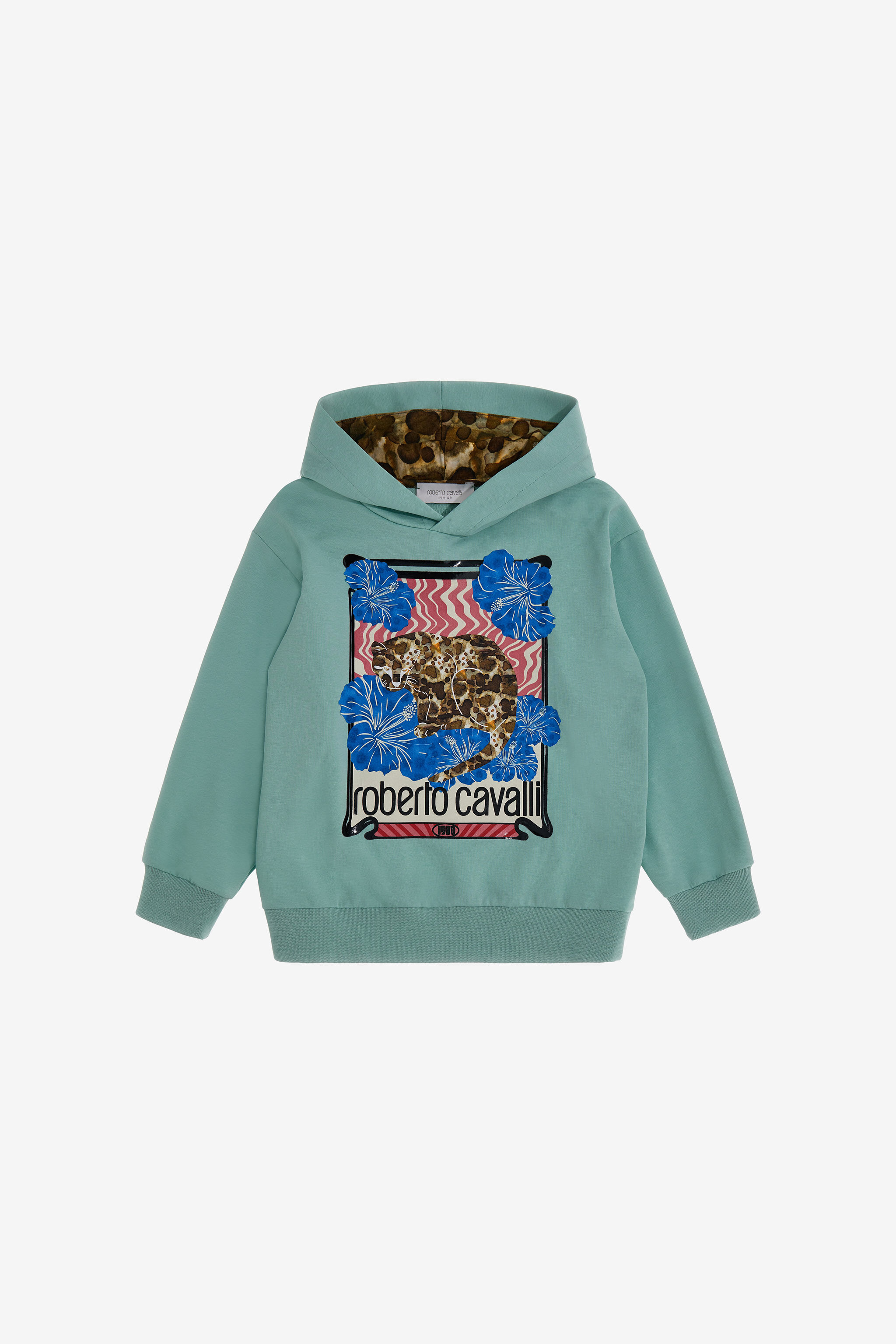 JU Sweatshirt Mit Mehrfarbigem Print Ozelot Green Mint SJT921-CF050