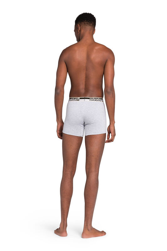 RC Logo Boxer Briefs Gray JSO00A-JV025
