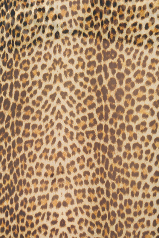 RC Caftano in Seta Baby Jaguar BROWN WQW016-HNR31