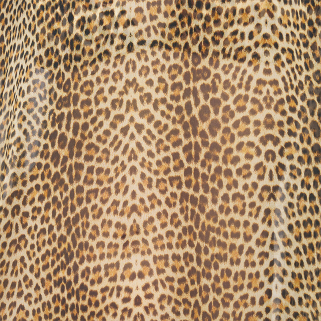 RC Caftano in Seta Baby Jaguar BROWN WQW016-HNR31