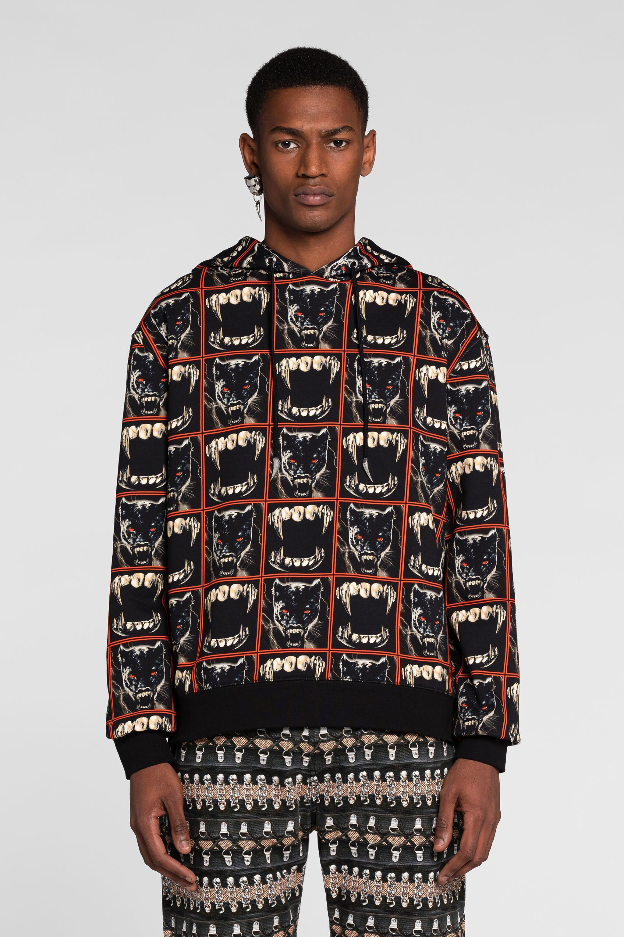 RC Teeth And Panther-Print Cotton Hoodie MULTICOLOR PNT69E-5OF25