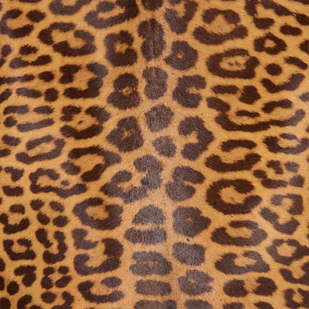 RC Leather Jacket with Leopard Skin Print Brown VKP400-ZV012