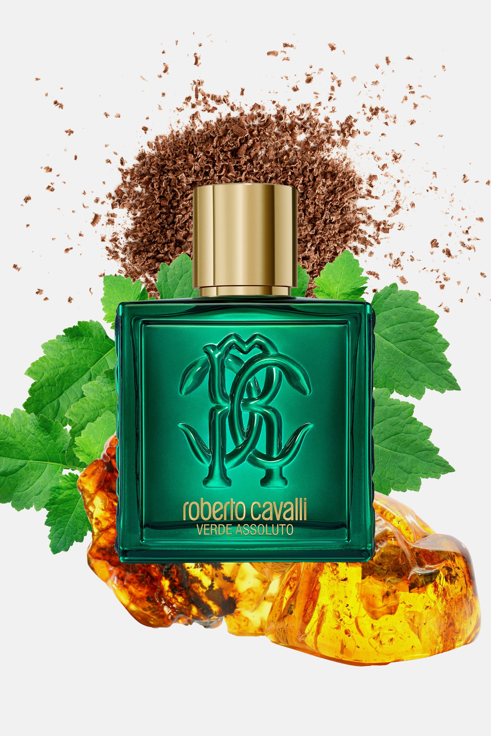 RC Verde Assoluto 100ML GENERIC WALI01-II042