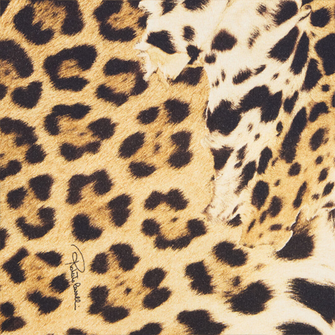 RC Cotton T-Shirt with Animal Print Light brown VRT62B-3PH91