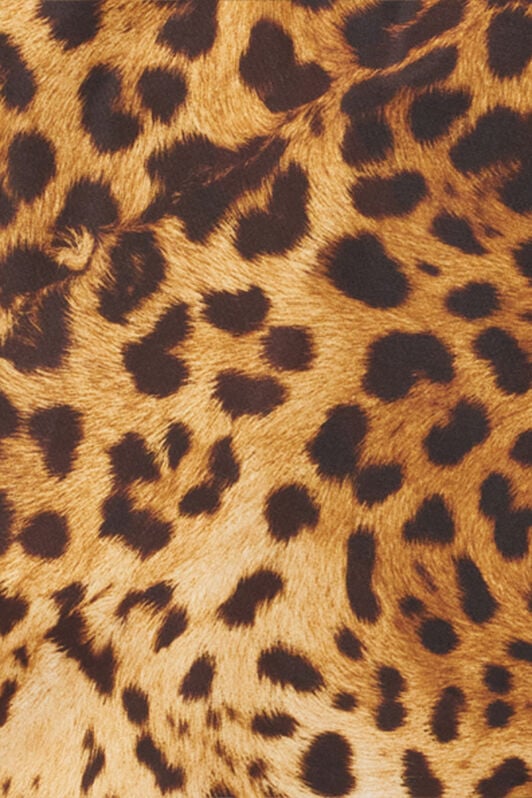 RC Swimsuit with Pop Horse Print RC Swimsuit with Pop Horse Print YELLOW WRH00U-5RR33