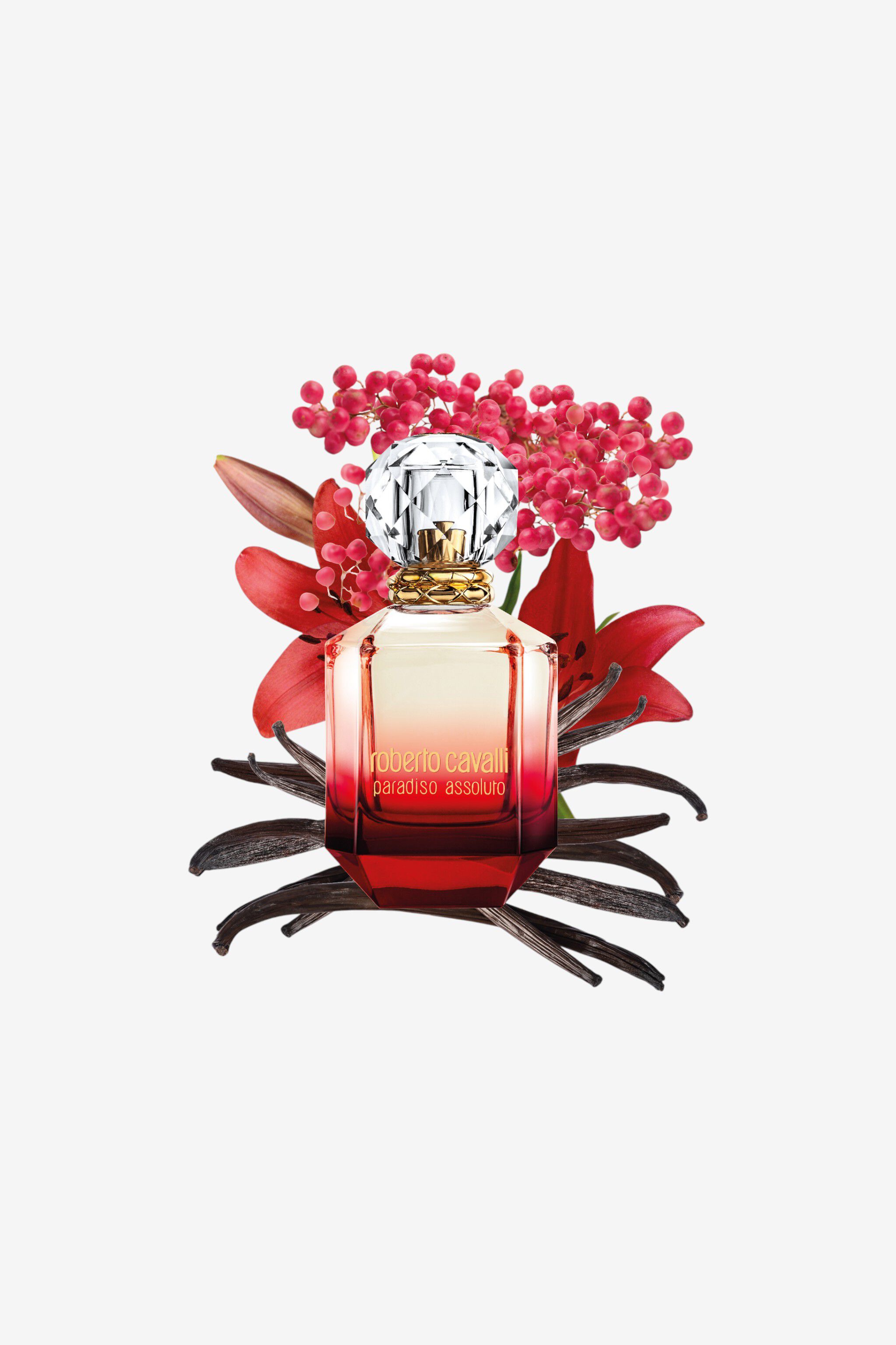 RC ROBERTO CAVALLI PARADISO ASSOLUTO EAU DE PARFUM 50 ML Red SAW005-SA009