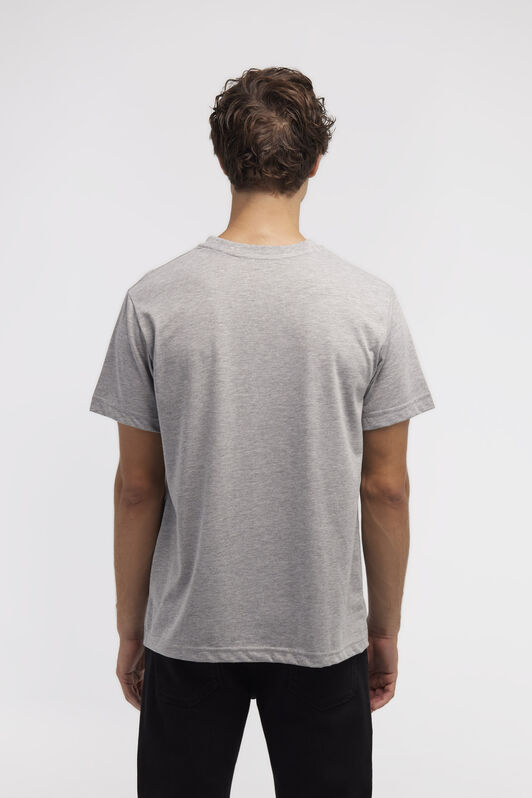 RC T-shirt with Jaguar logo and print Gray NOT60A-JD016