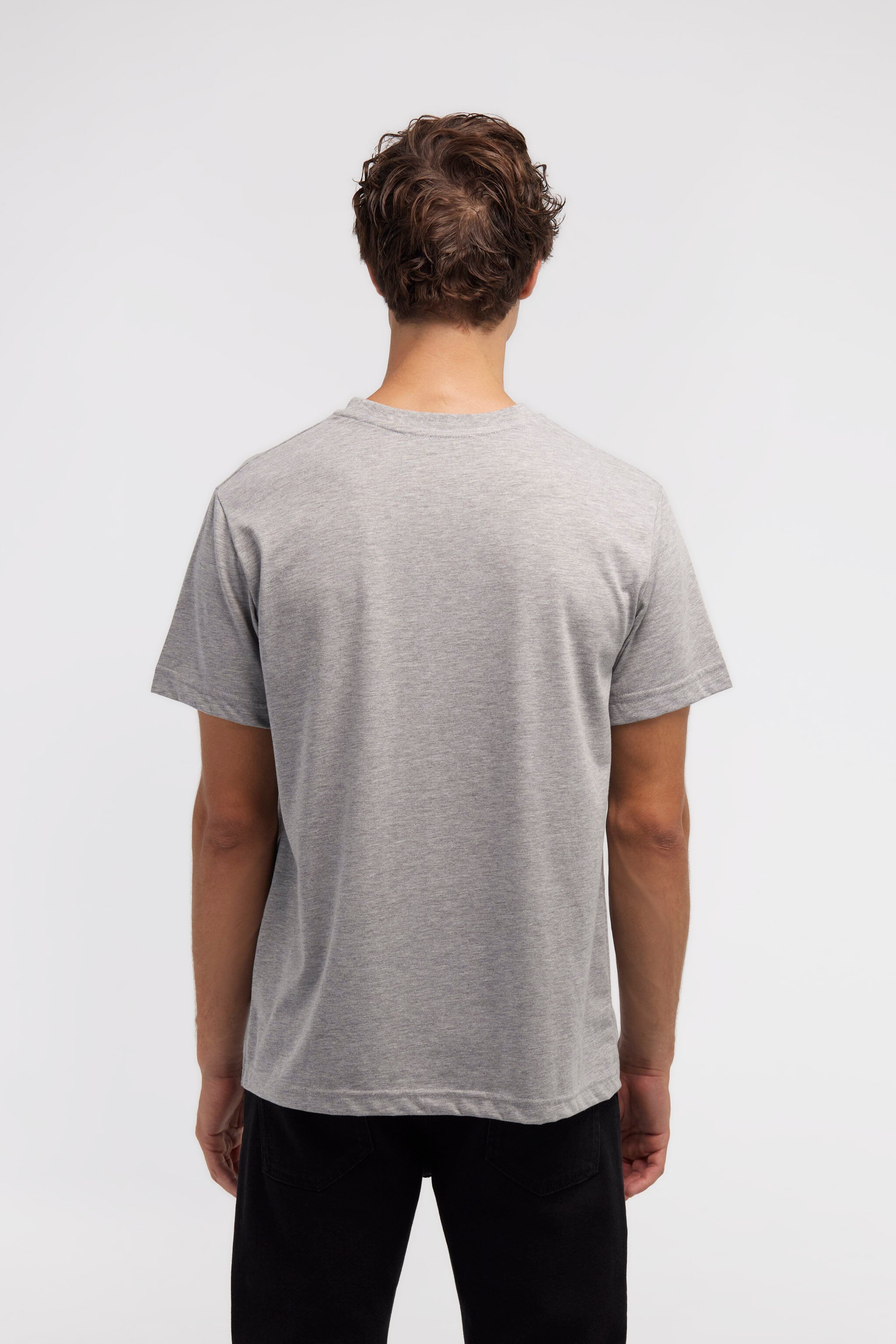 RC T-shirt with Jaguar logo and print Gray NOT60A-JD016