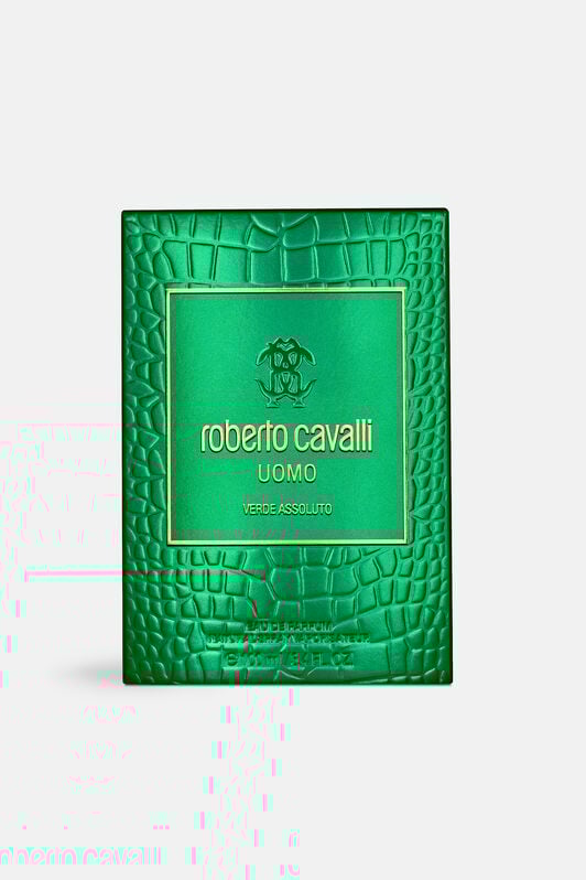 RC Verde Assoluto 100ML GENERIC WALI01-II042