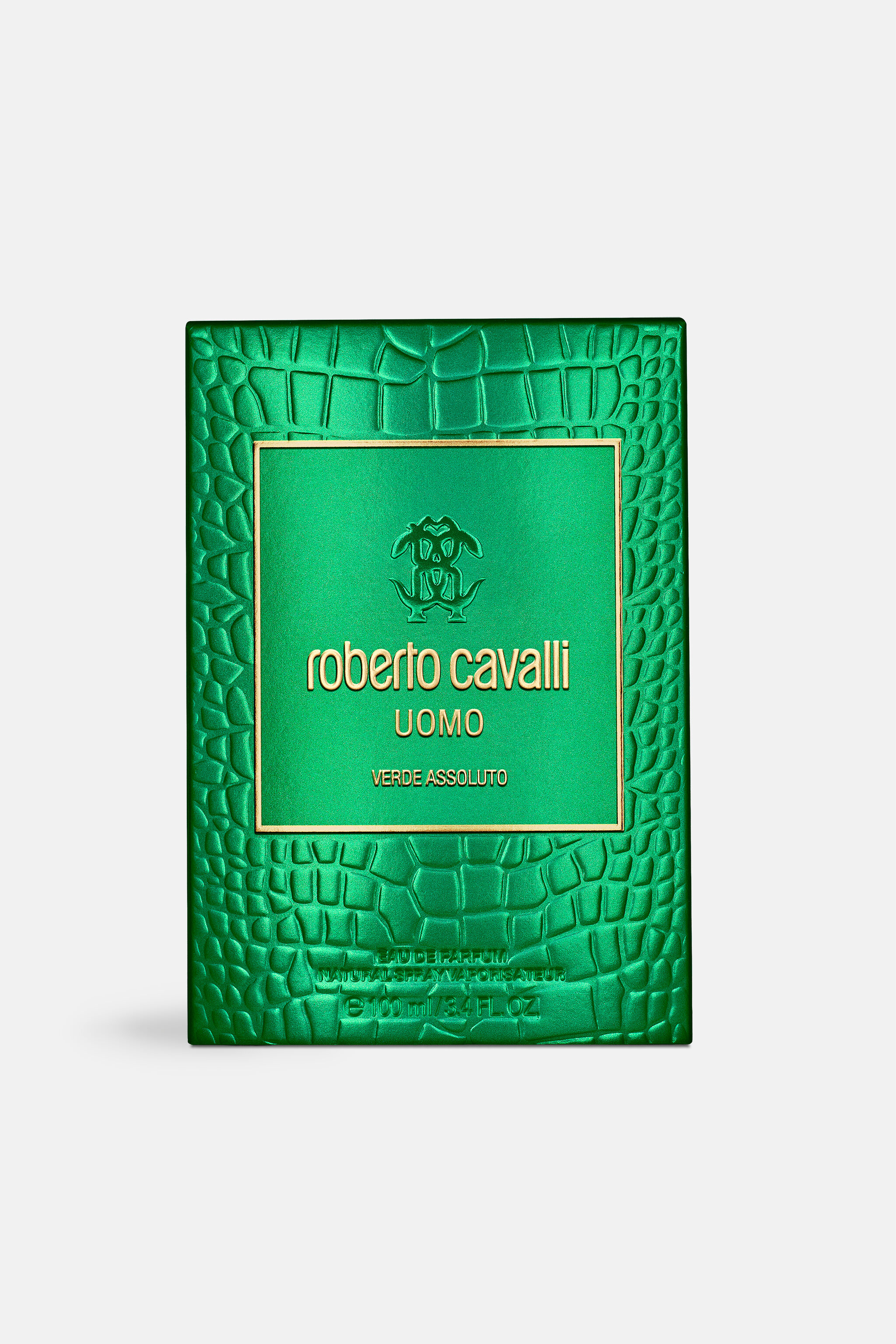 RC Verde Assoluto 100ML GENERIC WALI01-II042