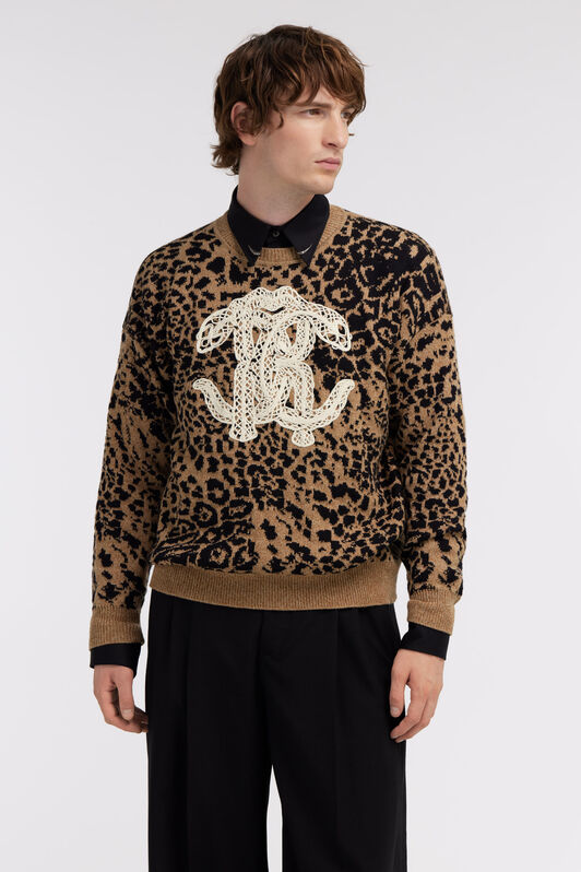 RC Jaguar Skin and Monogram RC print sweater Brown SRM610-MQ033