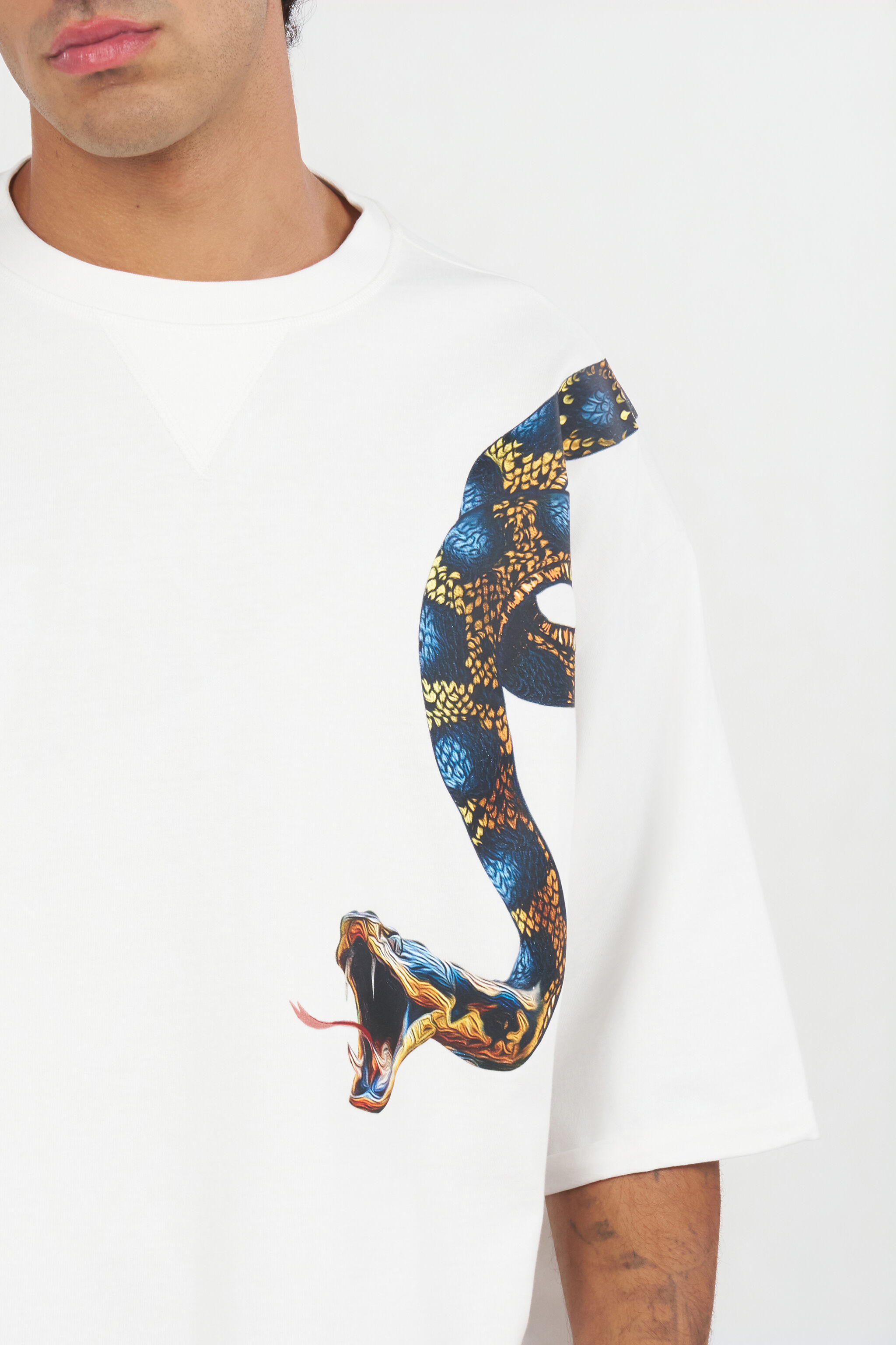 Oversized T-shirt with Snake Print in WHITE for Men | Roberto Cavalli®