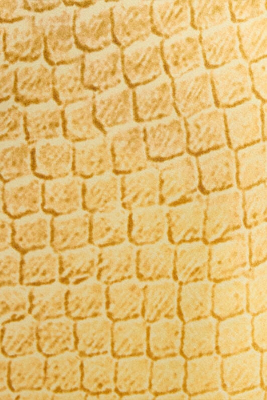 RC Wide-Leg Silk Pants with Beige and Sand Scale Print BEIGE/SAND WWT201-RYS31