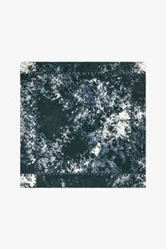 ${brand} Silk Scarf with Appaloosa Print ${colorDescription} ${masterID}