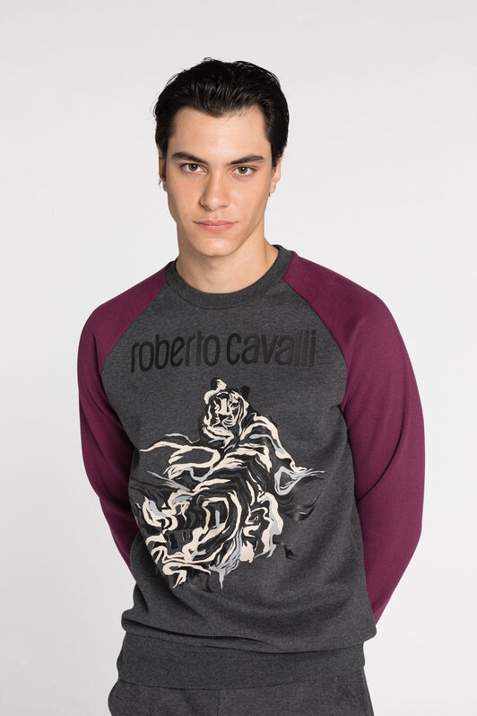 RC Sweat à imprimé tigre Dark Grey JST65A-CF062