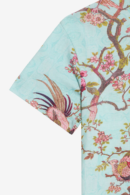 JU  MULTICOLOR VJT62I-JFQ07