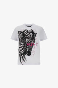 ${brand} Just Cavalli T-shirt ${colorDescription} ${masterID}