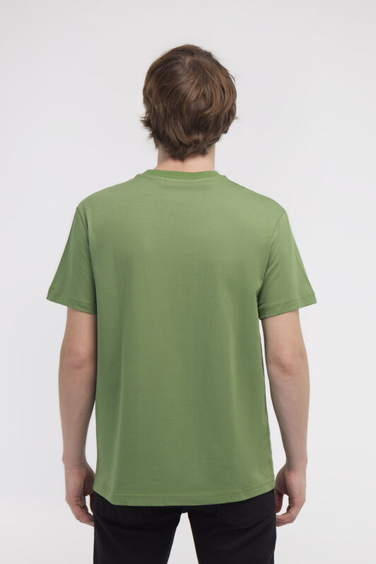 RC T-shirt with Eagle logo and print Grün NOT60E-JD060