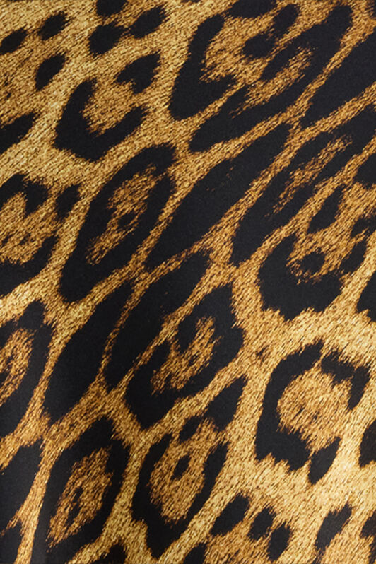 RC Silk Skirt with Jaguar Skin Print Brown VWT302-TYQ71