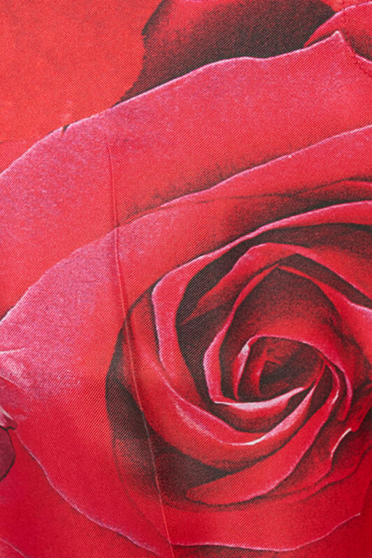 RC Hose Mit Print Rose Rot UKT201-4QN48