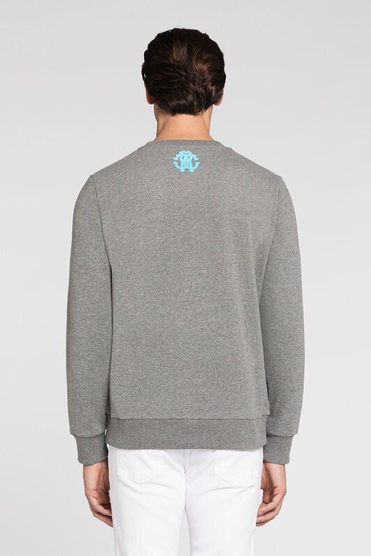 RC Logo And Tiger-Print Sweatshirt Gray JST65D-CF054