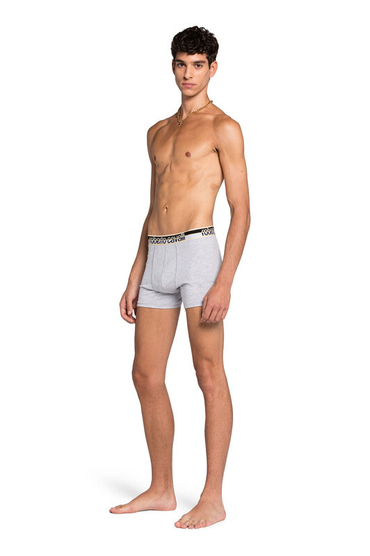RC Logo Boxer Briefs Grigio KOO00B-JV027