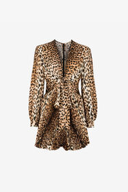 ${brand} Leopard-Print Mini Dress ${colorDescription} ${masterID}
