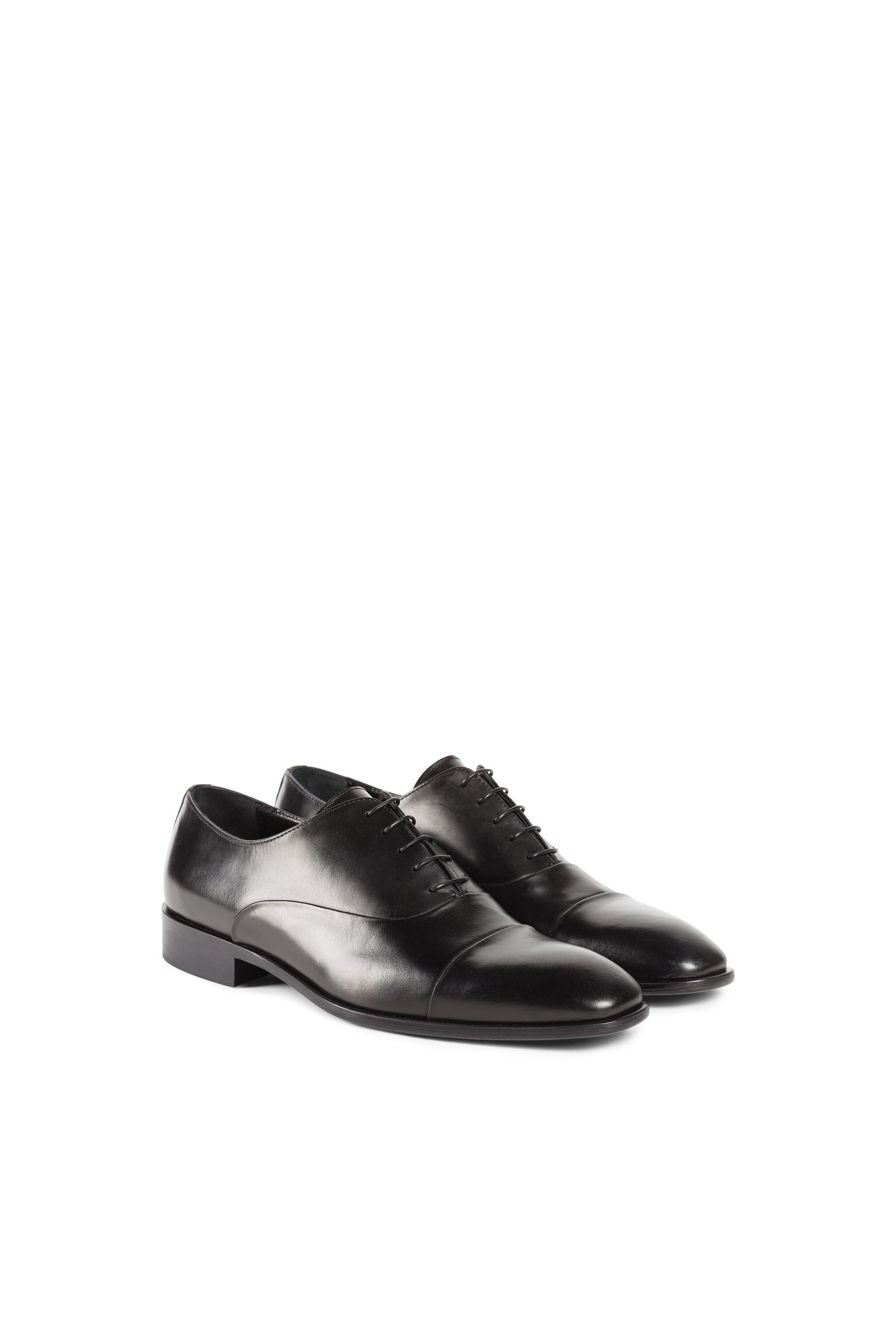 Leather Oxford Shoes in Black for Men Roberto Cavalli