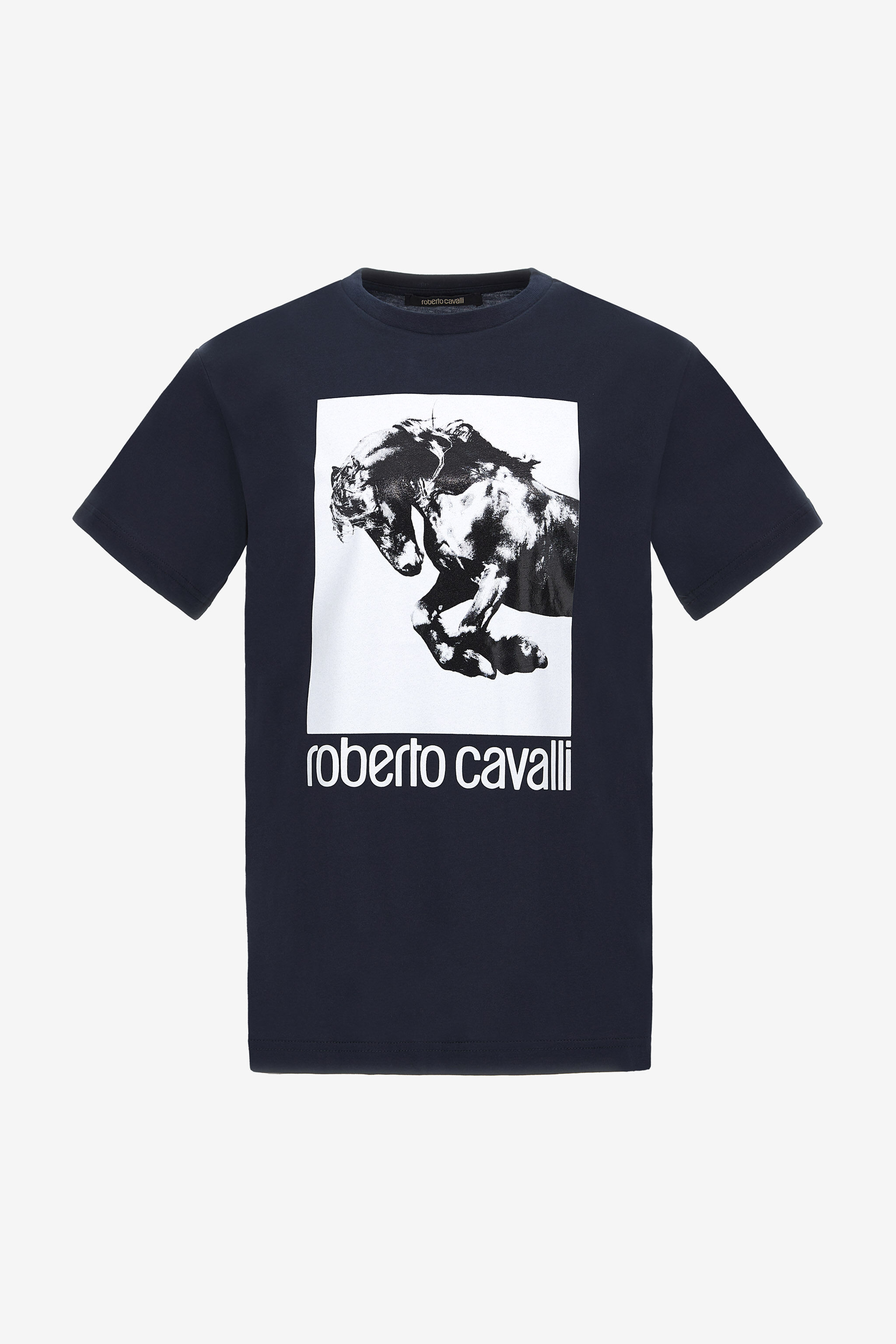 RC T-shirt with Horse logo and print Dark blue NOT60D-JD060
